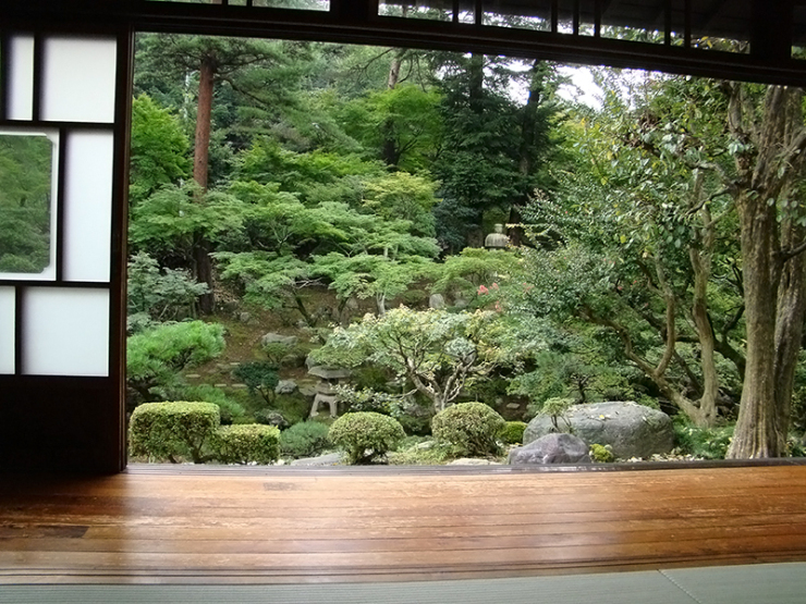 вид из додзё