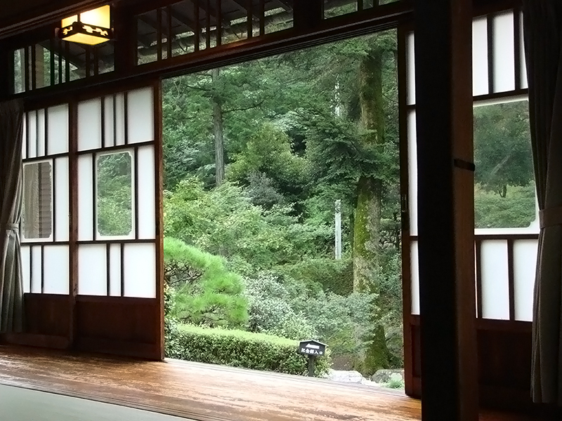 вид из додзё 2