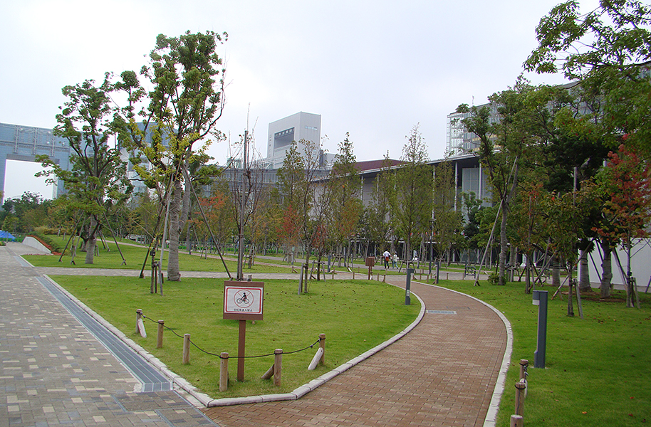 деревья с подпорками