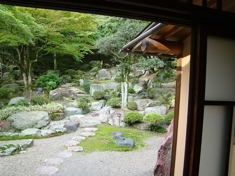 вид из додзё 3