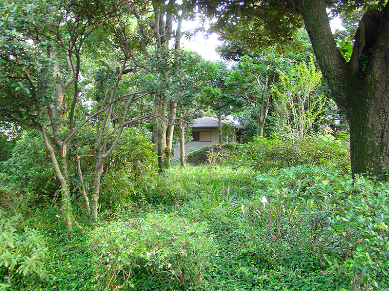 природа Японии